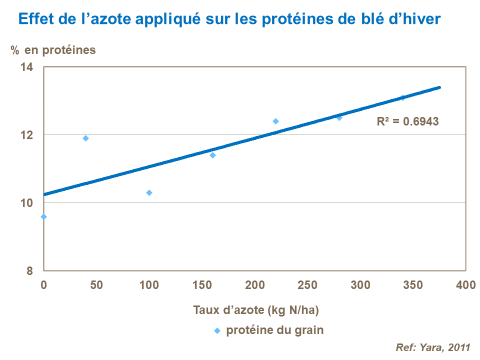 FR - effect of applied N on wheat grain protein.png