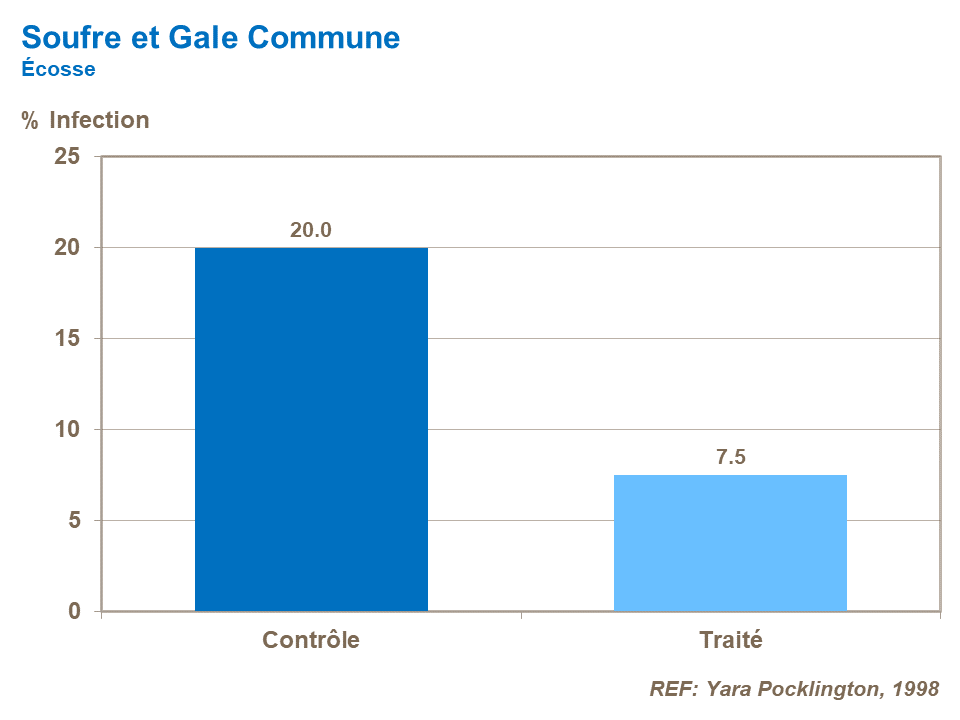 skin finish_sulphur and common scab.png