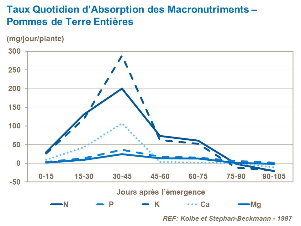 FR-daily rate of macronutrient uptake whole potato.png