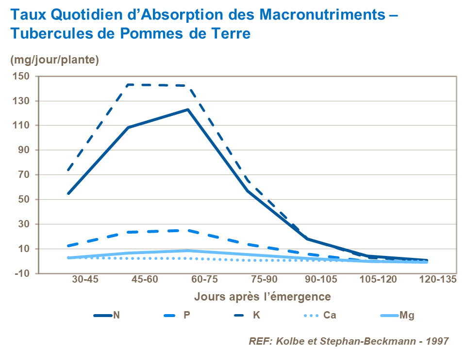 FR-daily rate of macronutrient uptake tuber.png