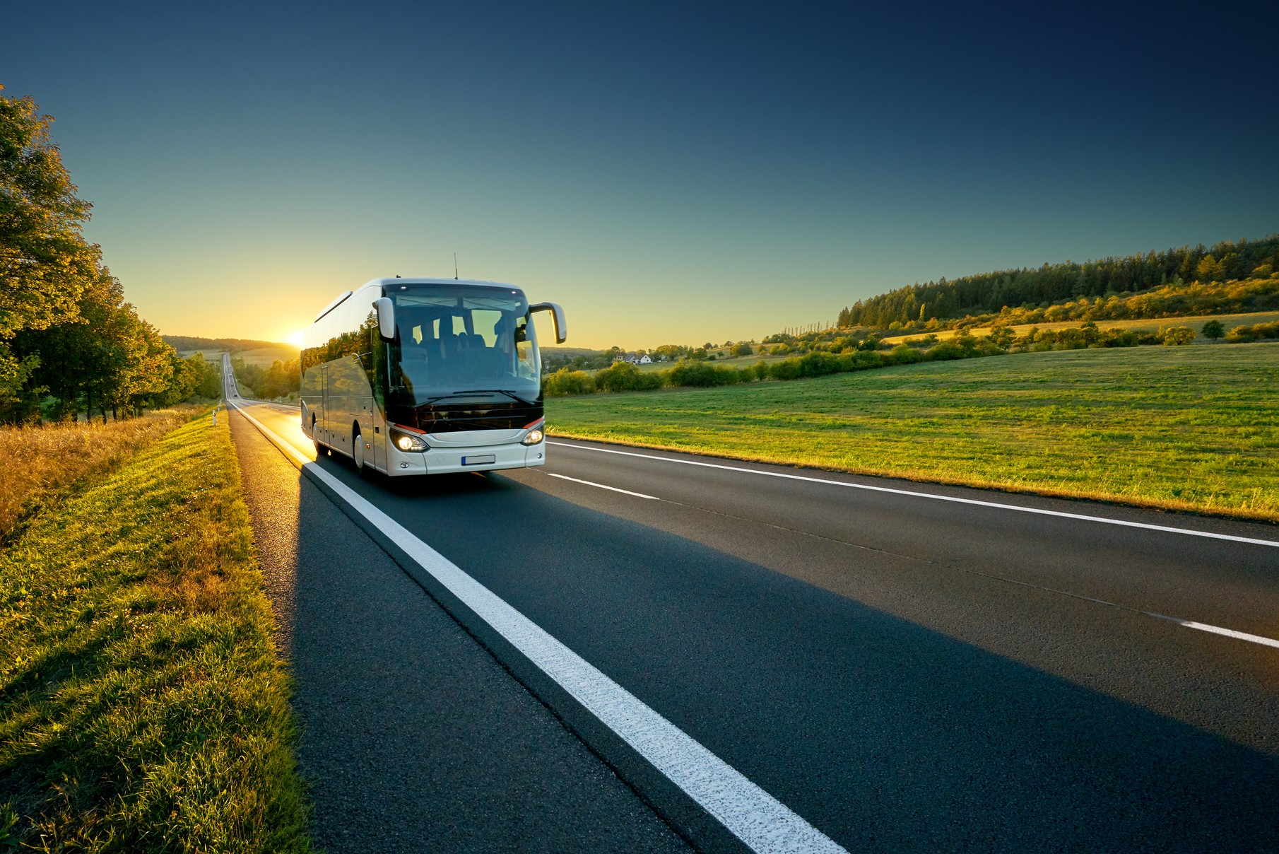 Bus